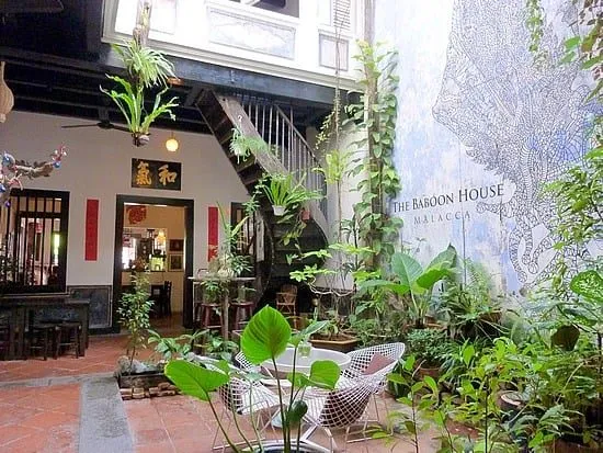 The Baboon House