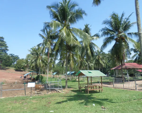 Melaka Wants to Turn Itself Into a Durian Tourism Destination With a One-Stop Supermarket