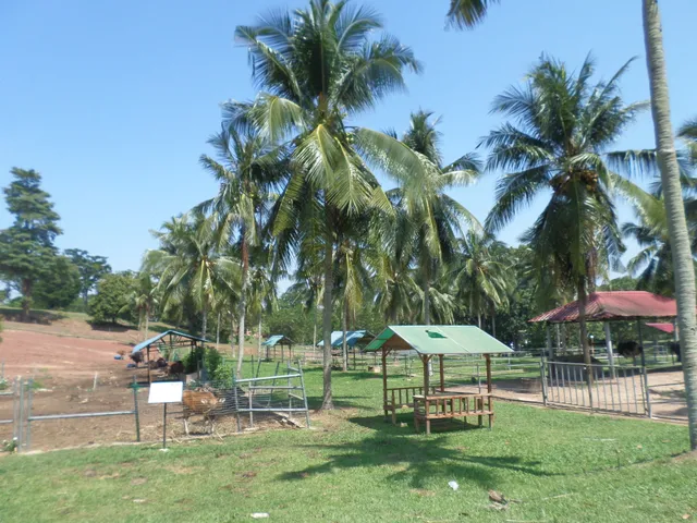 Melaka Wants to Turn Itself Into a Durian Tourism Destination With a One-Stop Supermarket