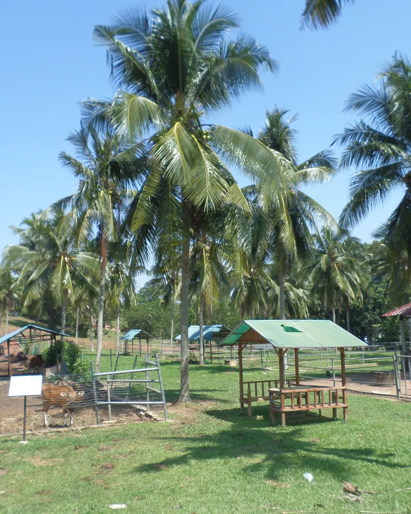 Melaka Wants to Turn Itself Into a Durian Tourism Destination With a One-Stop Supermarket
