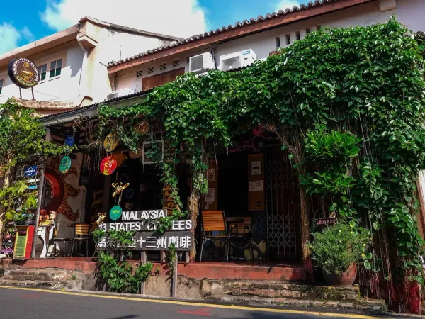 Calanthe Art Cafe