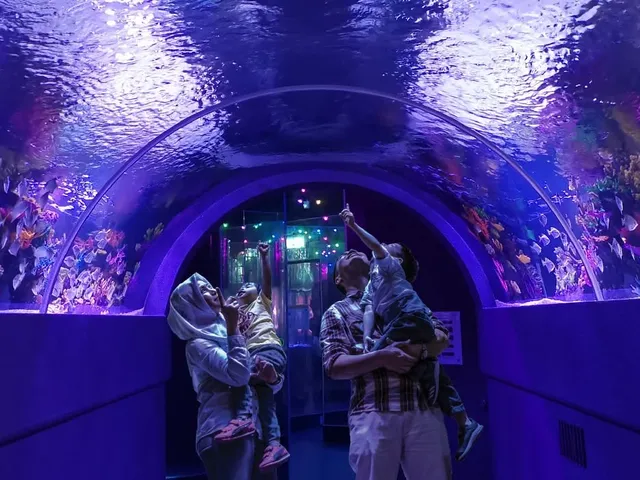 The Shore Oceanarium